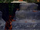 image of grave number 171973